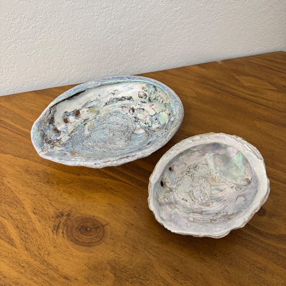 Natural Abalone Shells Iridescent Mother of Pearl Coastal Decor Dish 9" 6"
